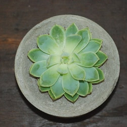 Handmade Concrete Planters - Home Decor