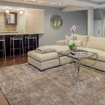 Highland Park Finished Basement