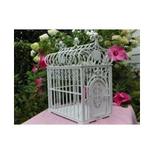 Designer Dog Cages