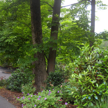 Plantings minimize the parking area