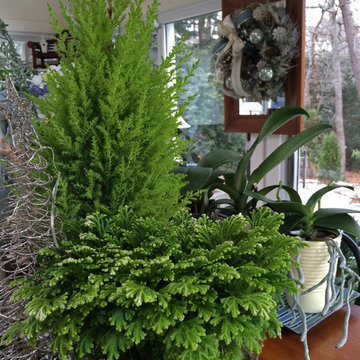 Decking the Halls_Seasonal Design
