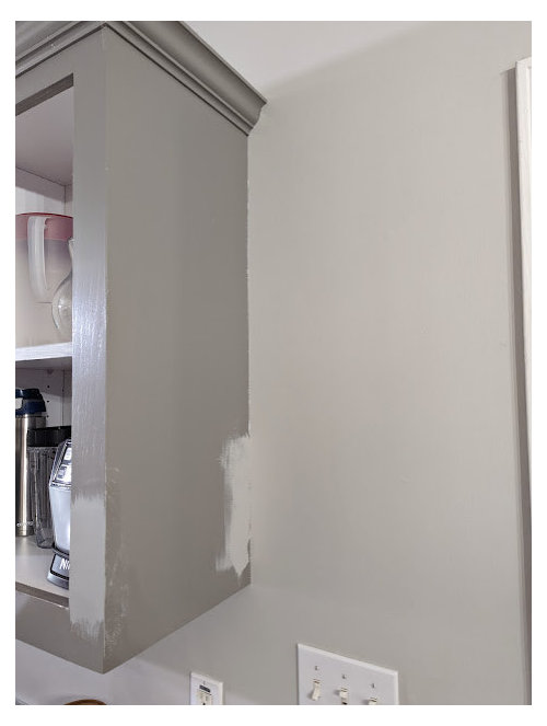 Paint Help Kitchen Monotone