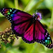 Elizabeth McEwan's photo