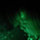 pascal_dalcourt