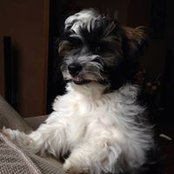 Emily Barclay's photo