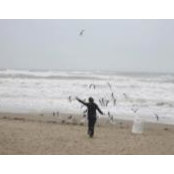 Chris Graff's photo