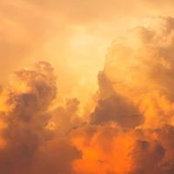 Teshawn Johnson's photo