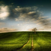 David's photo
