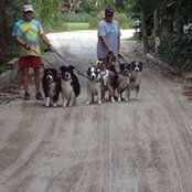 Joyce Ballard's photo