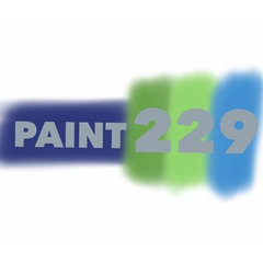 PAINT229