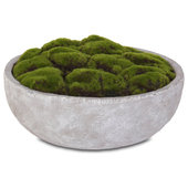 2 sq. ft Preserved Moss Pillow Moss Moss for Potted Plants Artificial Fake  Mo