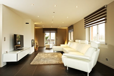 Design ideas for a contemporary living room in Strasbourg.