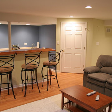 HOFFMAN ESTATES BASEMENT REMODELING