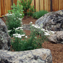 Landscaping Ideas