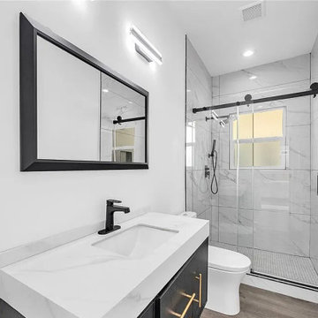 Modern Home Renovation