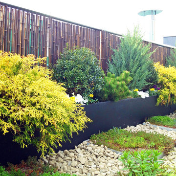 Tribeca Roof Garden: Paver Deck, Terrace, Sedum Trays, Bamboo Fence, Container P