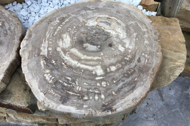 Petrified Wood Stone Pavers