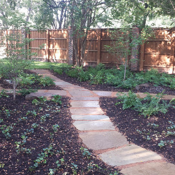 A Barren Landscape Goes Woodland