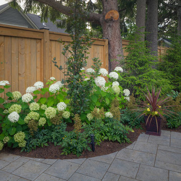 Backyard Gardens