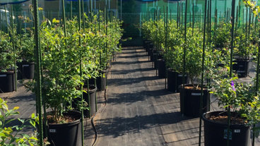 大阪府 高槻市のガーデニング 園芸用品店 人気ベスト15 Houzz ハウズ