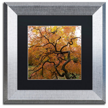 Kurt Shaffer 'October Japanese Maple' Matted Framed Art