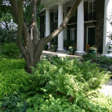 Ardmore Landscape Designer | Neo Classical Residence