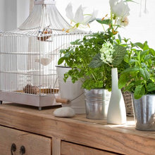 Indoor Garden