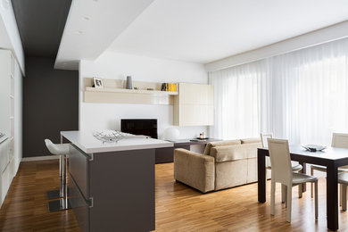 This is an example of a modern family room in Rome.