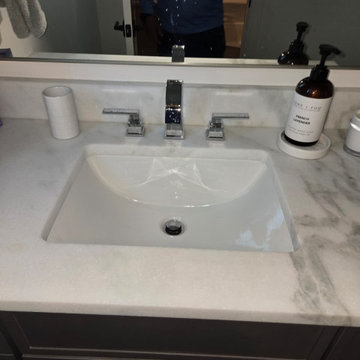 Toilet, Sink and Shower Installations, South Tampa FL