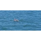 Ann Mulholland's photo