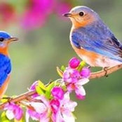 Foto von Sowmya Moorthy