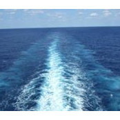 Wendy Stein's photo
