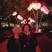 Lynne Friedmann Marucci's photo
