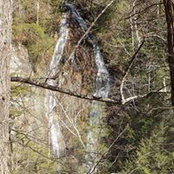 Charlotte Burnette's photo