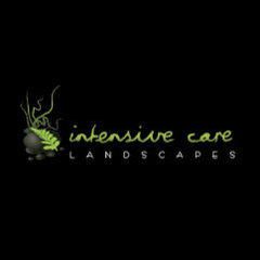 Intensive Care Landscapes