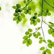 Althea Gregoire's photo