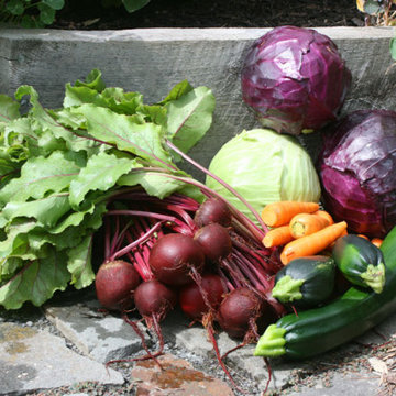 Woodstock Vegetable Garden
