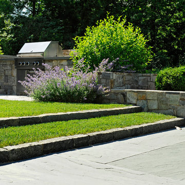 Vibrant Surroundings