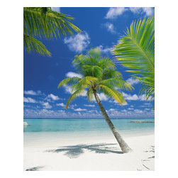American Wallpaper & Design - Beach and Palm Trees Mural Wallpaper - Wall Decals