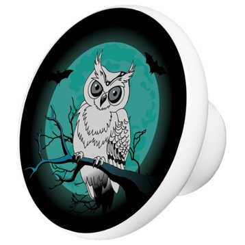 Teal Night Owl Ceramic Cabinet Drawer Knob