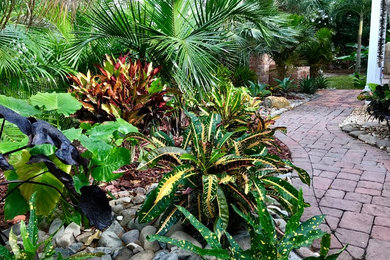 Photo of a tropical garden in Orlando.