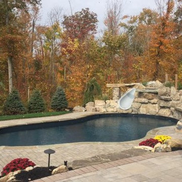 Vinyl Freeform Pools