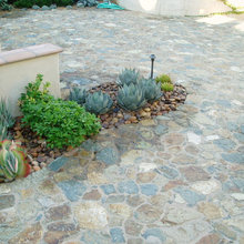 Courtyard Succulents
