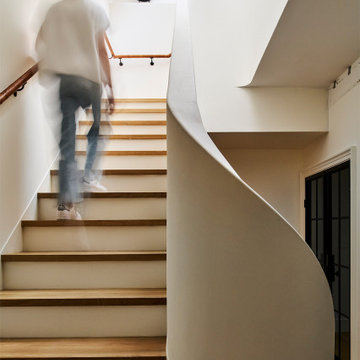 Fairmount, Philadelphia: Transitional Whole House Remodel