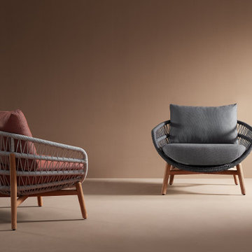 2024 new release - The VASCA collection