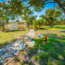Chicken Coop