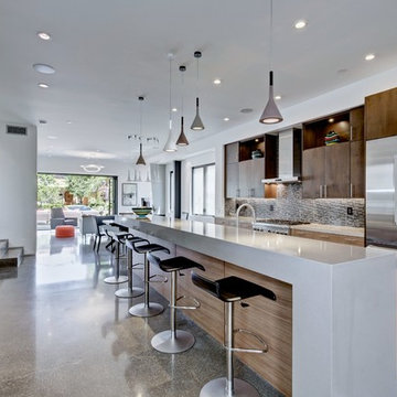Lown Residence