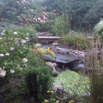 Private Backyard