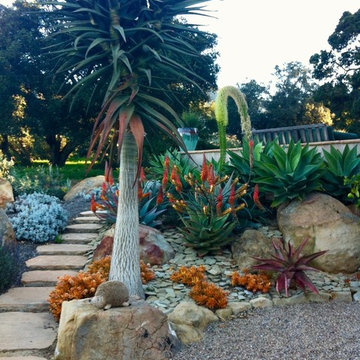 Mission Canyon