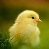 Foto de Beate Stocker
